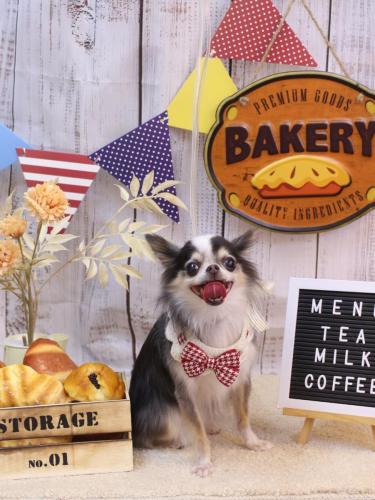 20240913ひめちゃん